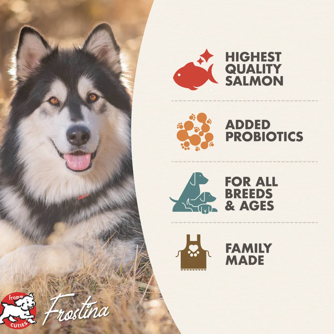 Fromm Four Star Salmon Tunalini Grain Free Recipe Dry Dog Food