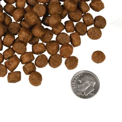 Fromm Four Star Salmon Tunalini Grain Free Recipe Dry Dog Food