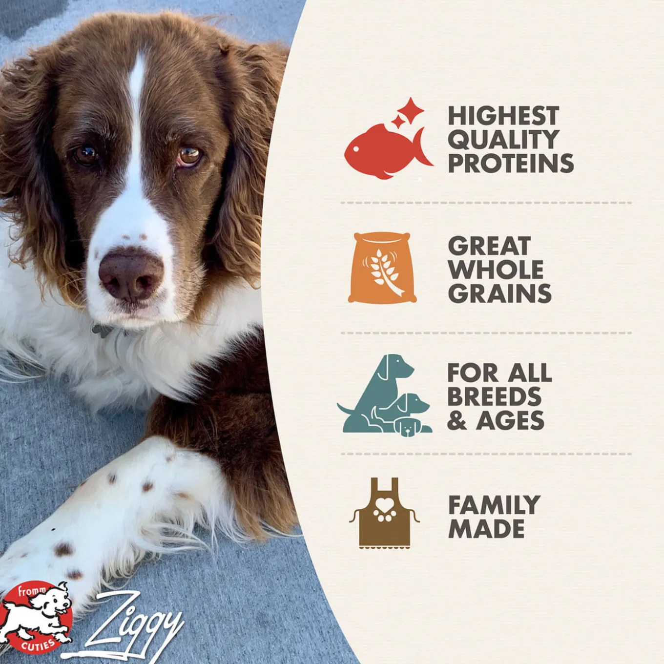 Fromm Four Star Trout & Whitefish Grain Inclusive Recipe Dry Dog Food