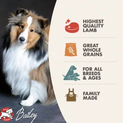 Fromm Four Star Zealambder Grain Inclusive Recipe Dry Dog Food