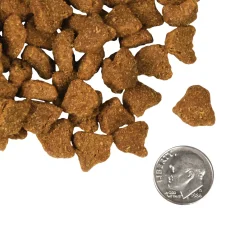 Fromm Four Star Zealambder Grain Inclusive Recipe Dry Dog Food