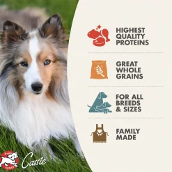 Fromm Gold Ancient Grains Dry Dog Food