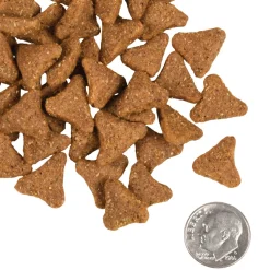Fromm Gold Ancient Grains Dry Dog Food