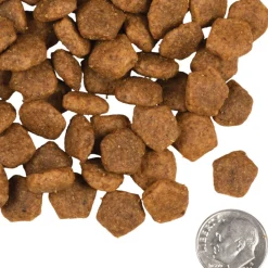 Fromm Heartland Gold Adult Dry Dog Food