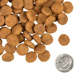 Fromm Heartland Gold Large Breed Adult Dry Dog Food