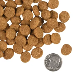 Fromm Large Breed Adult Gold Dry Dog Food