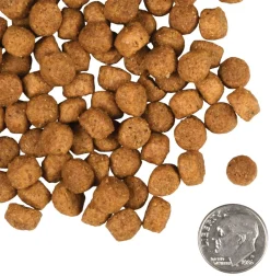Fromm Large Breed Puppy Gold Dry Dog Food
