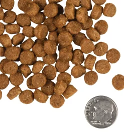 Fromm Puppy Gold Dry Dog Food