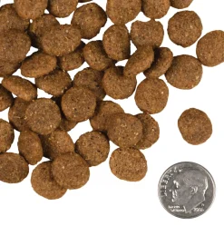 Fromm Reduced Activity Senior Gold Dry Dog Food