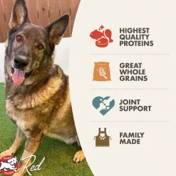 Fromm Reduced Activity Senior Gold Dry Dog Food