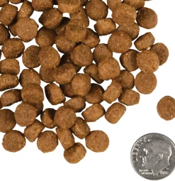 Fromm Small Breed Adult Gold Dry Dog Food
