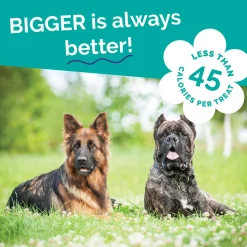 Fruitables Biggies Dog Treats