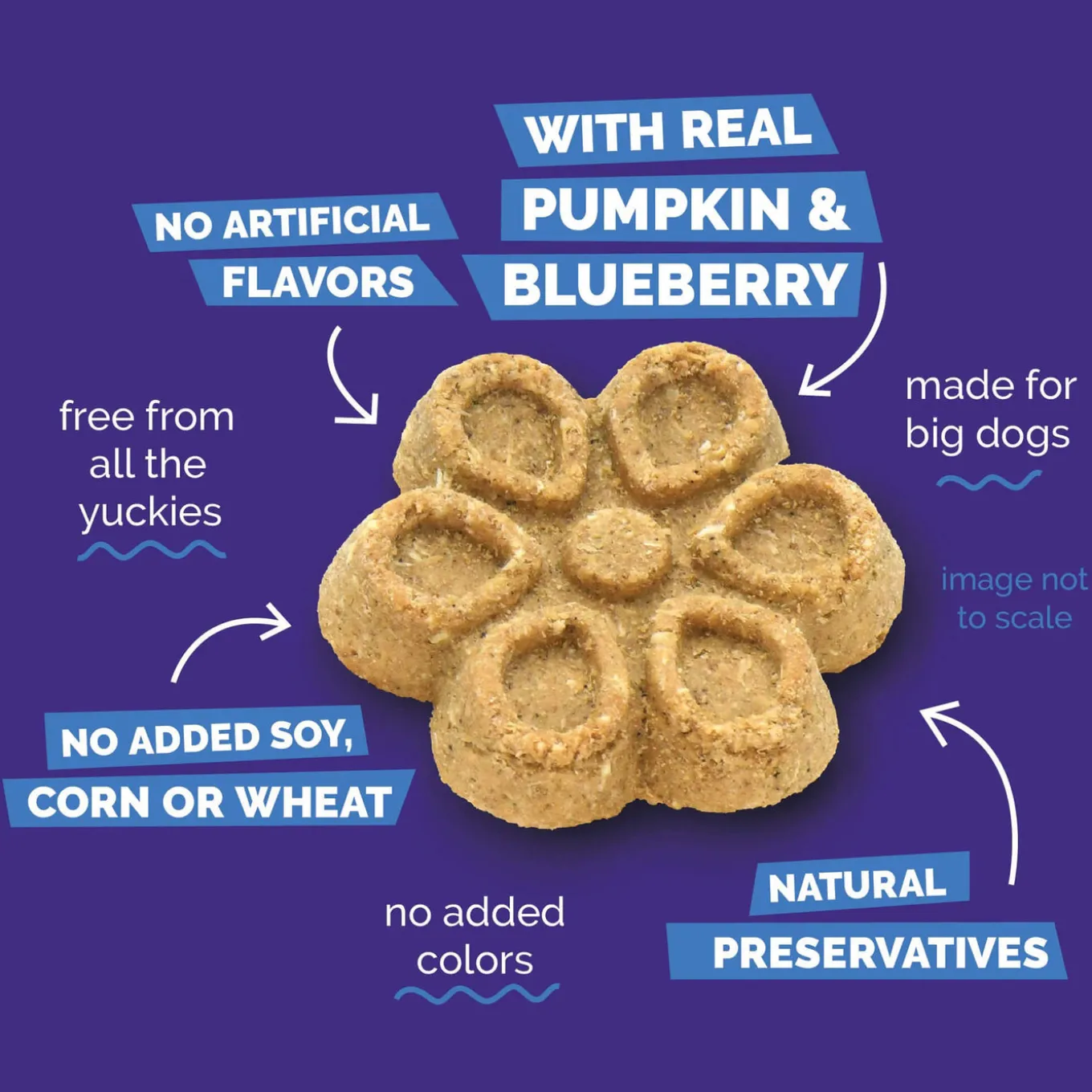 Fruitables Biggies Dog Treats