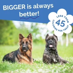 Fruitables Biggies Dog Treats