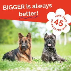 Fruitables Biggies Dog Treats