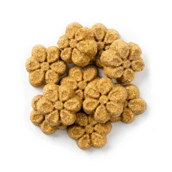 Fruitables Dog Treats