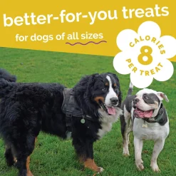 Fruitables Dog Treats