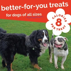Fruitables Dog Treats