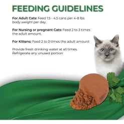 Fussie Cat Fine Dining Mousse Wet Cat Food With Pumpkin
