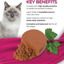 Fussie Cat Fine Dining Mousse Wet Cat Food With Pumpkin