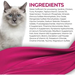Fussie Cat Fine Dining Mousse Wet Cat Food With Pumpkin