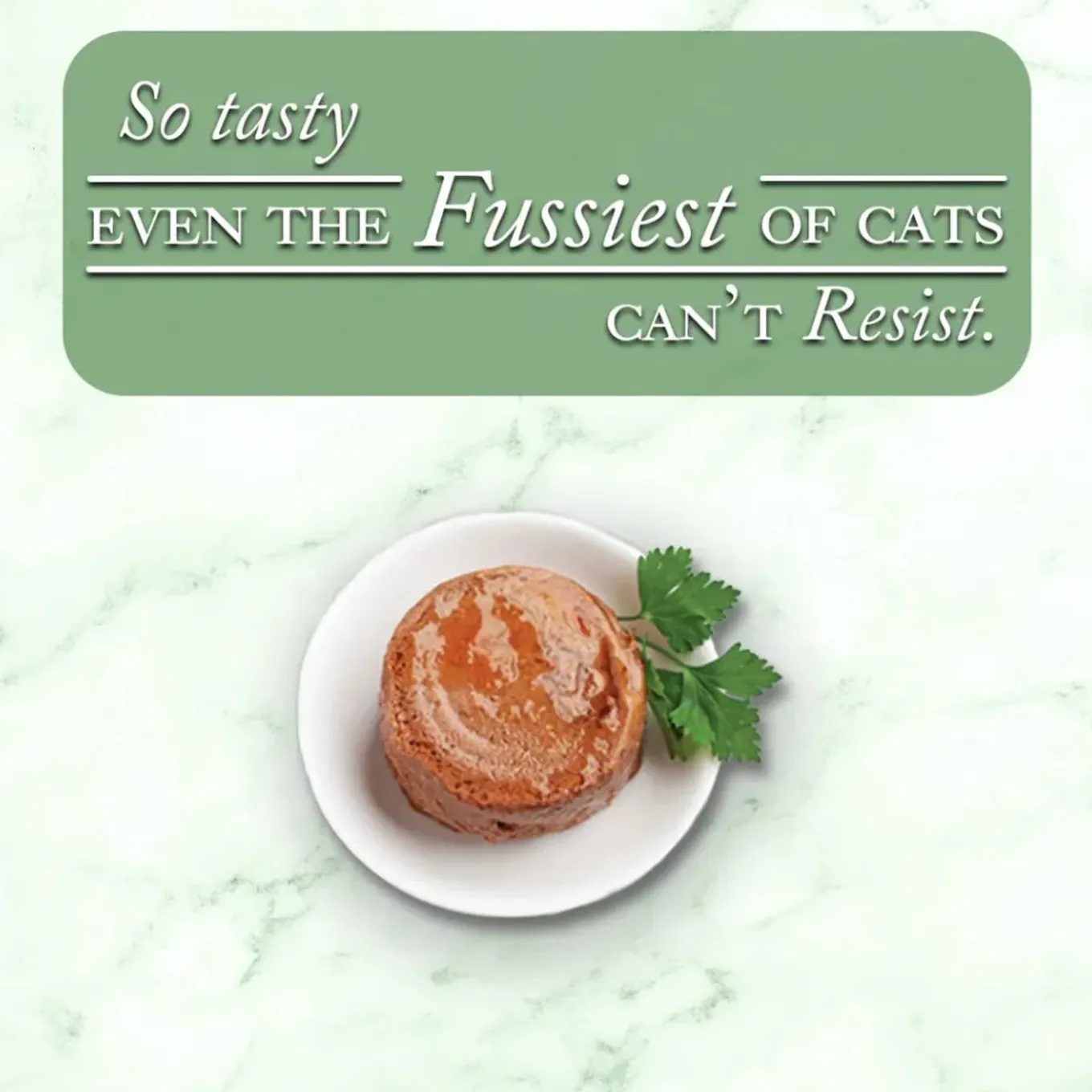 Fussie Cat Fine Dining Pate Wet Cat Food