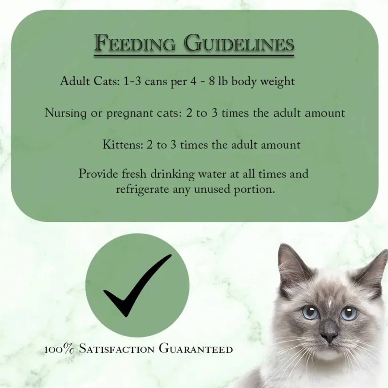 Fussie Cat Fine Dining Pate Wet Cat Food