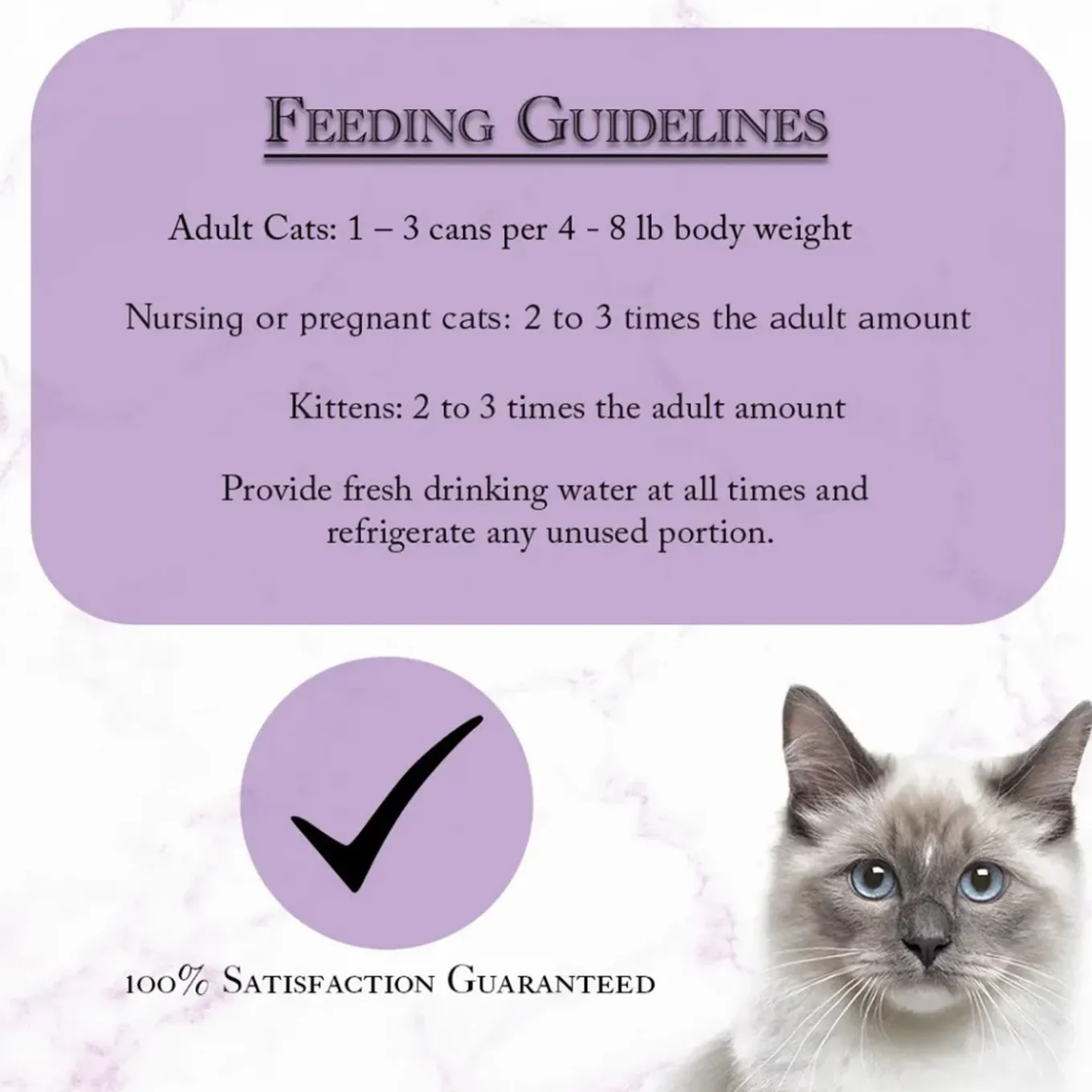 Fussie Cat Fine Dining Pate Wet Cat Food