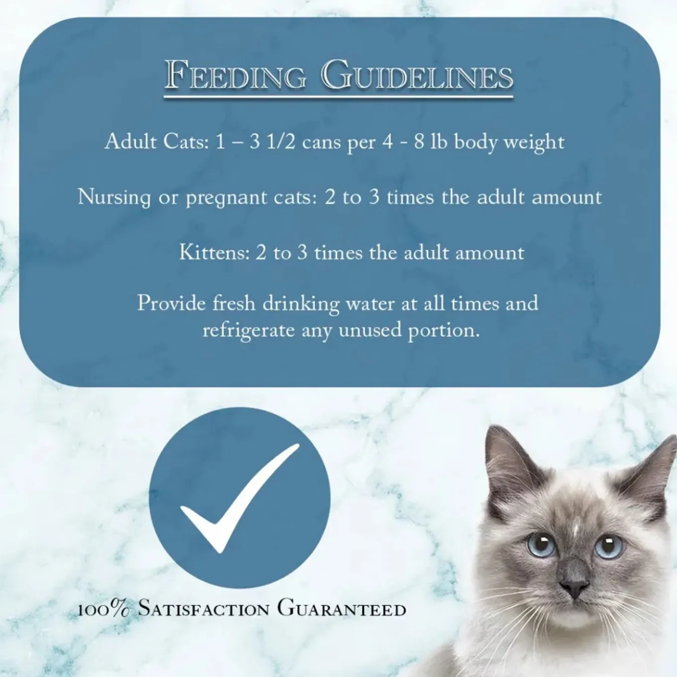 Fussie Cat Fine Dining Pate Wet Cat Food