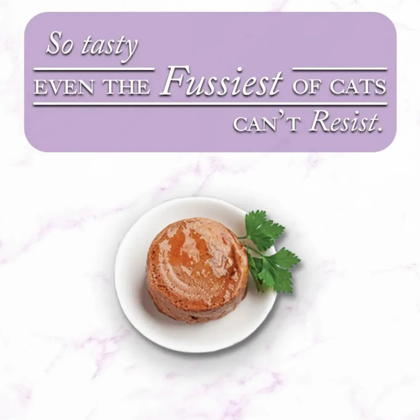Fussie Cat Fine Dining Pate Wet Cat Food