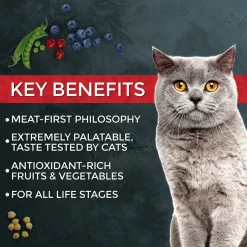Fussie Cat Market Fresh Grain Free Dry Cat Food