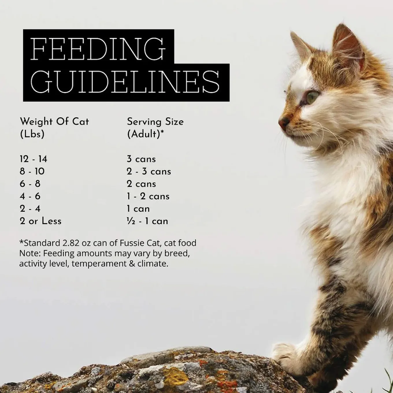 Fussie Cat Super Premium Gold Grain Free Wet Cat Food