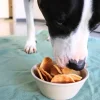 Gaines Family Farmstead Chips Crunchy Dog Treats