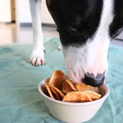 Gaines Family Farmstead Chips Crunchy Dog Treats