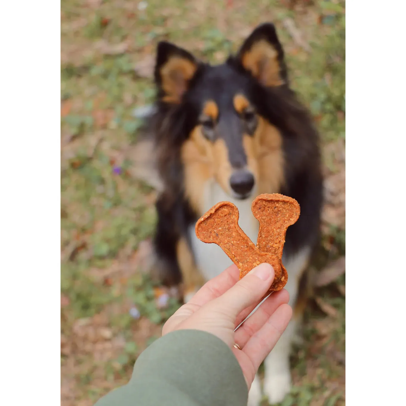 Gaines Family Farmstead Sweet Potato Bones Dog Treats