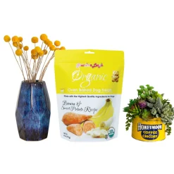 Grandma Lucy's Organic Oven Baked Dog Treats