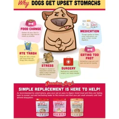 Grandma Lucy's Simple Replacement Freeze Dried Bland Diet Meal for Dogs
