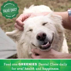 Greenies Dental Chews Dog Treats