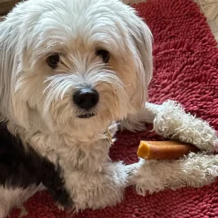 Healthy Pet World Cheesies Himalayan Yak Cheese Chews for Dogs