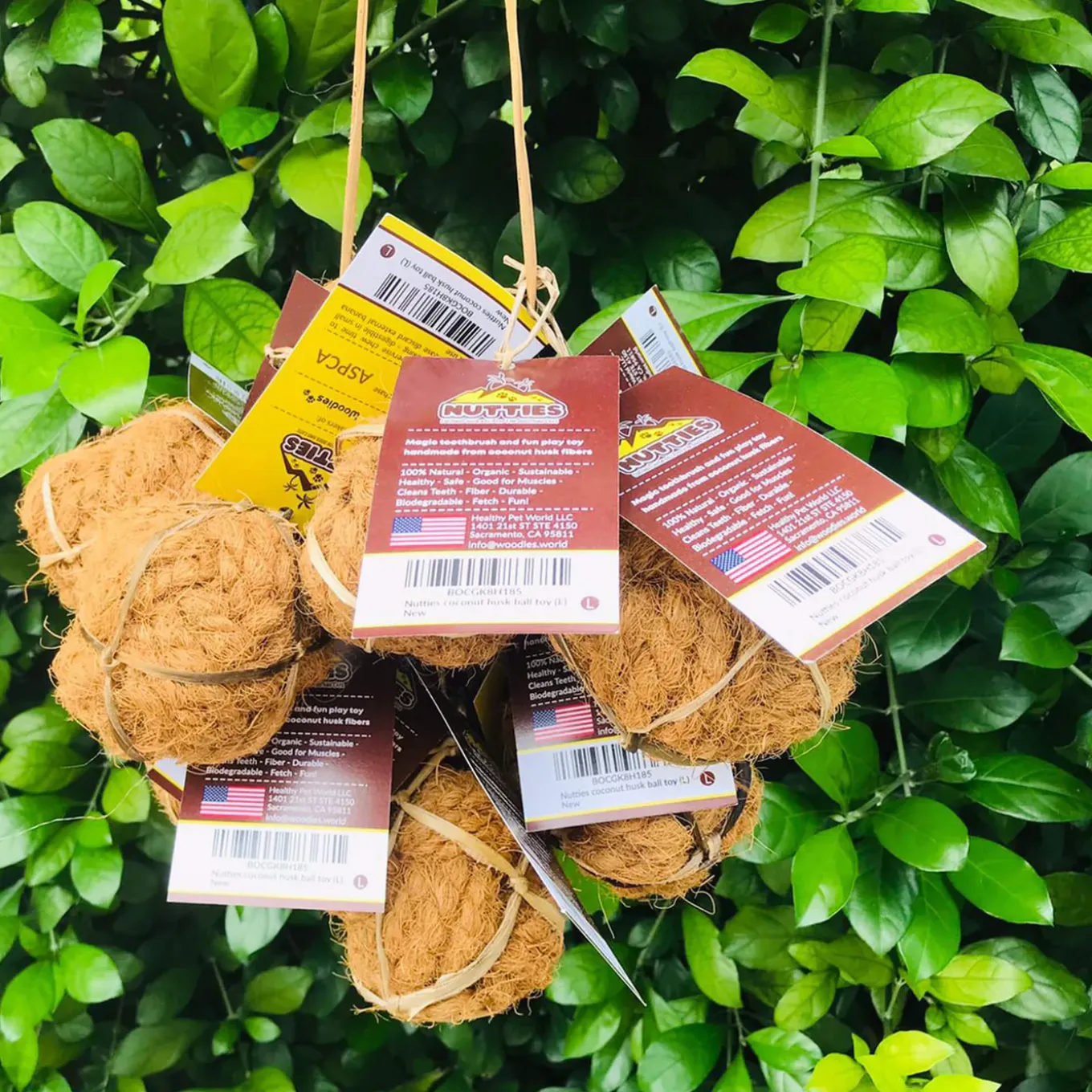 Healthy Pet World Nutties Coconut Husk Dental Cat Toy