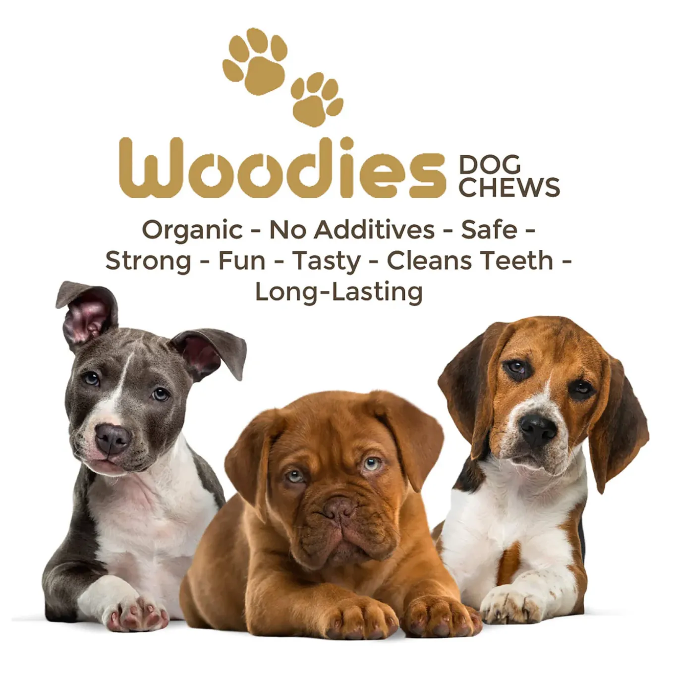Healthy Pet World Woodies Coffee Wood Chews for Dogs