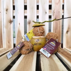 Healthy Pet World Nutties Coconut Husk Dog Toys