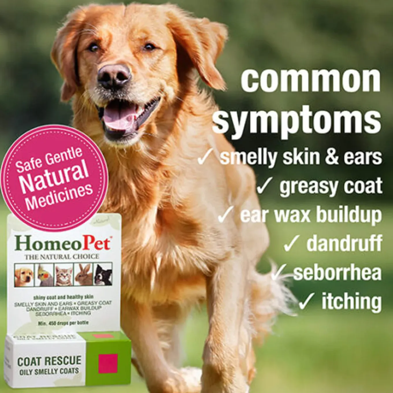 HomeoPet Coat Rescue