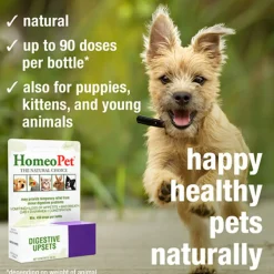 HomeoPet Digestive Upsets