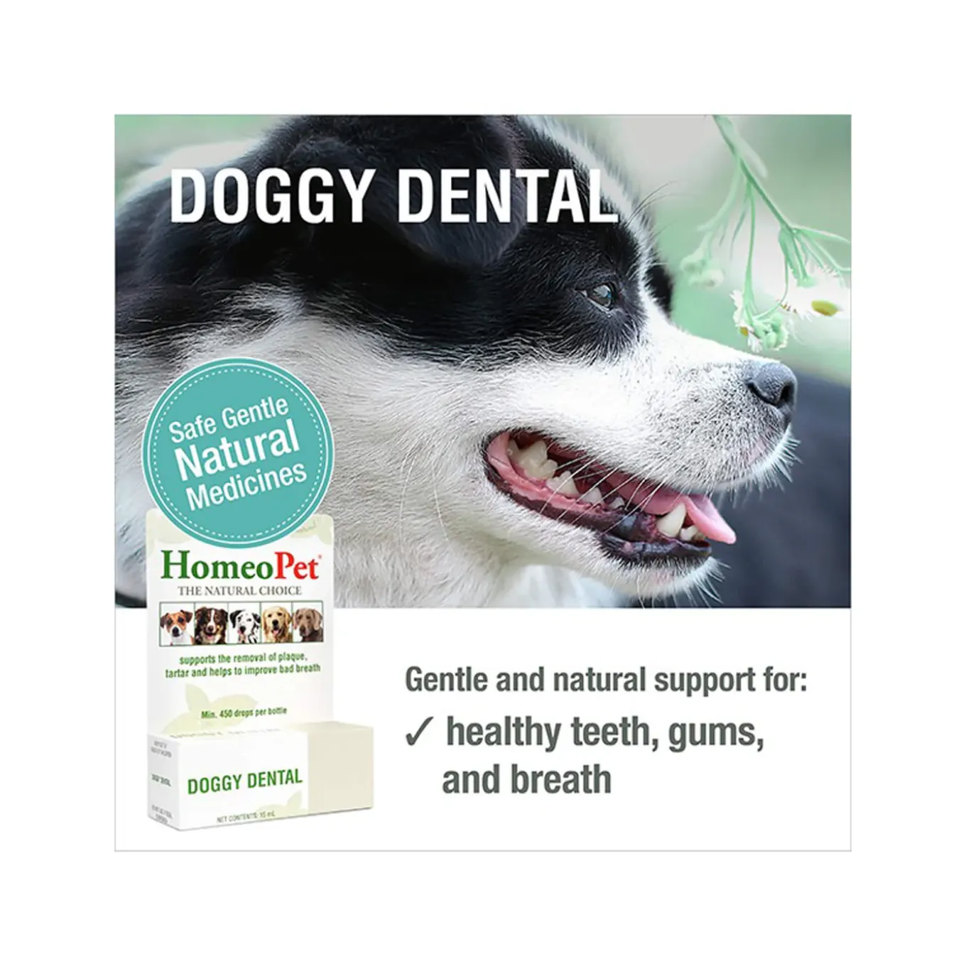 HomeoPet Doggy Dental Homeopathic Plaque & Tartar Removal Drops for Dogs