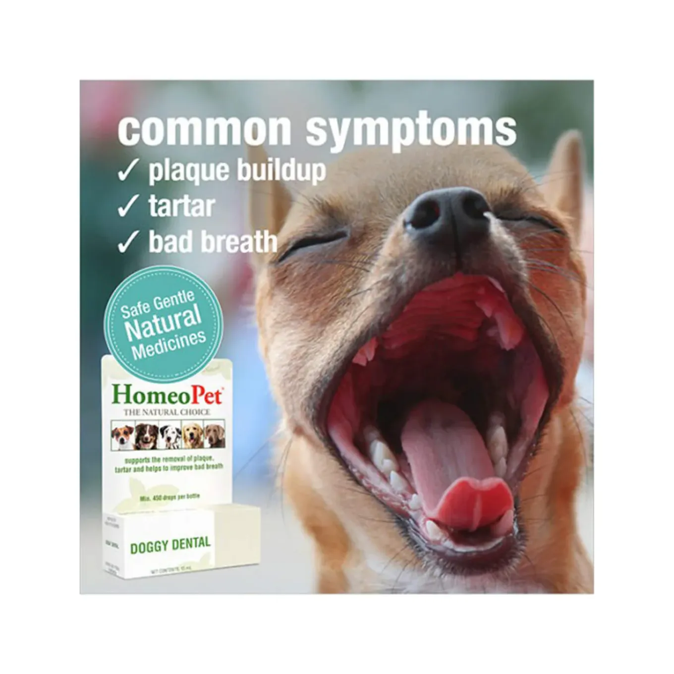 HomeoPet Doggy Dental Homeopathic Plaque & Tartar Removal Drops for Dogs