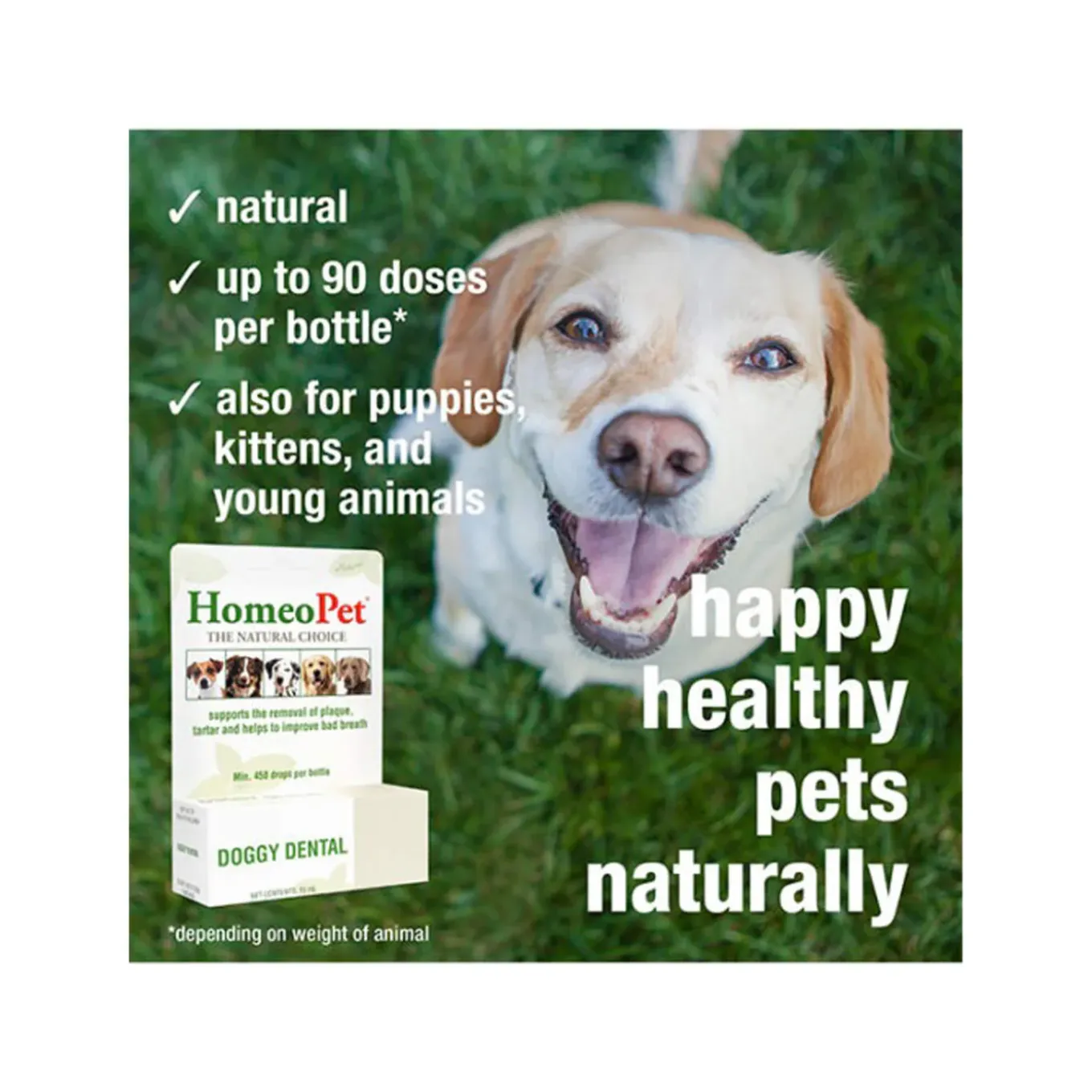 HomeoPet Doggy Dental Homeopathic Plaque & Tartar Removal Drops for Dogs
