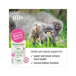 HomeoPet Feline Homeopathic UTI+ Drops for Cats
