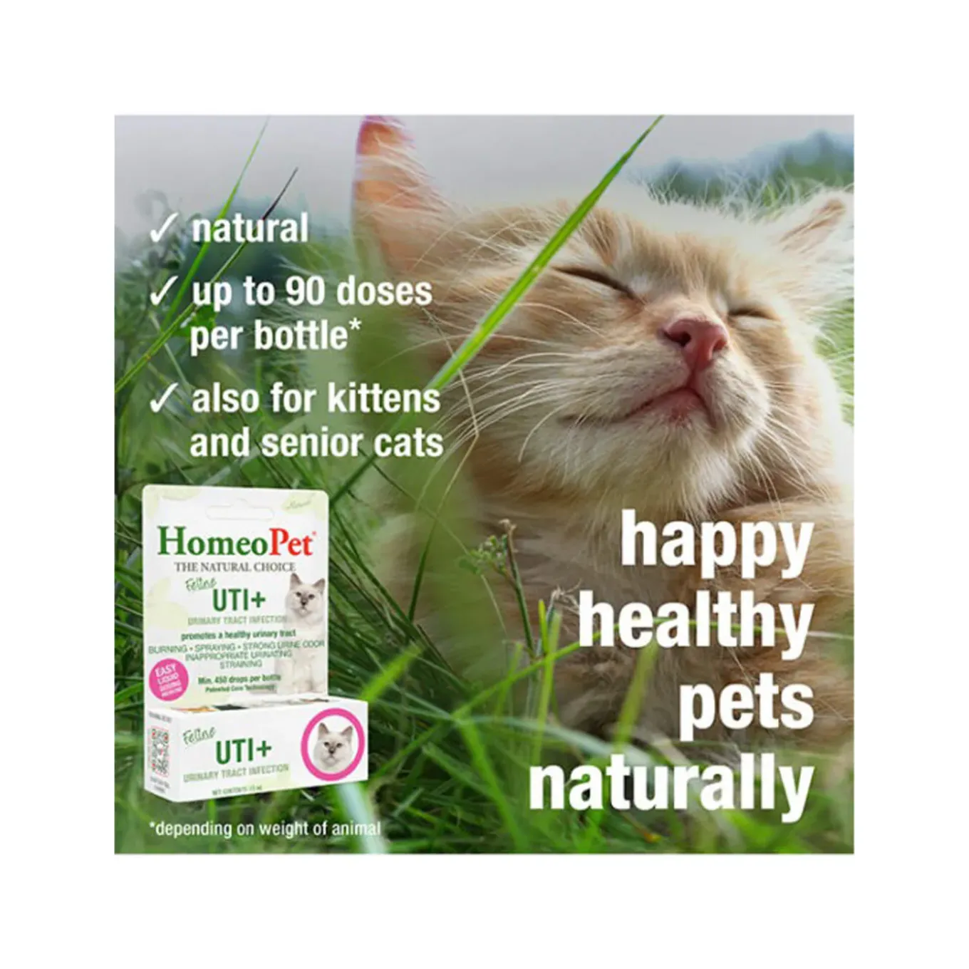 HomeoPet Feline Homeopathic UTI+ Drops for Cats