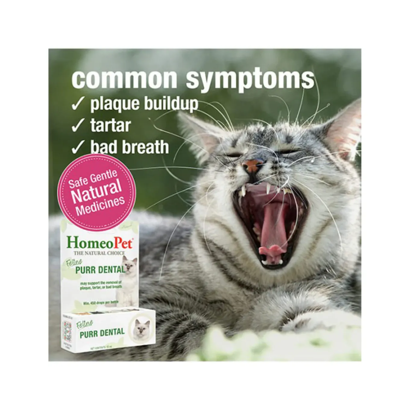 HomeoPet Feline Purr Homeopathic Dental Drops for Cats